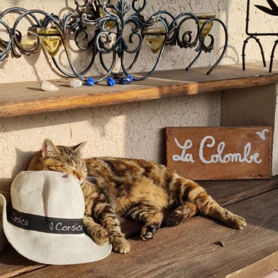 Bed and Breakfast La Colombe Tourrettes Exterior foto